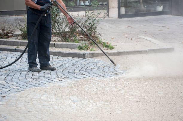 Best Roof Washing  in Mcmurray, PA